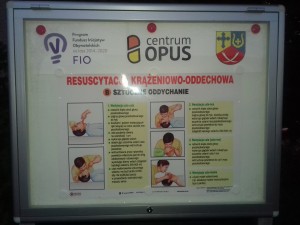 73381372 2318814605097600 2131586994784960512 o (1)