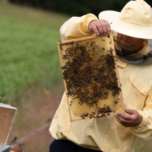 031e41c2-0c9e-401b-acc1-7b59f0828c56