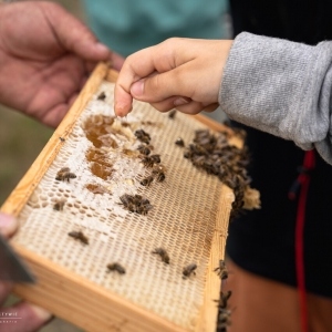 1c507818-86bb-4c2e-8d26-a5311d75ca79