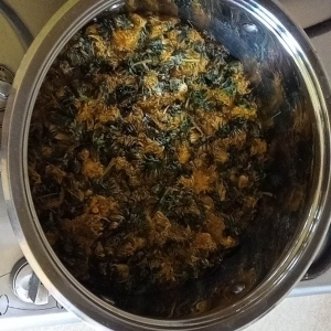 344304038_814931162864770_2937254386872829652_n