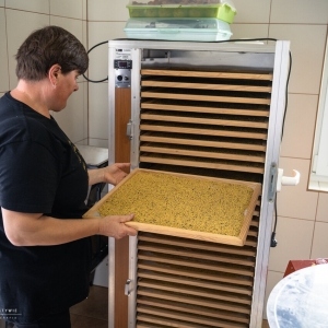 6bb60630-ea75-491c-b4af-eb202a5664e4