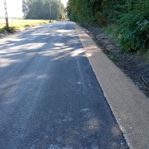 Zdjęcie 5 Luboszewy