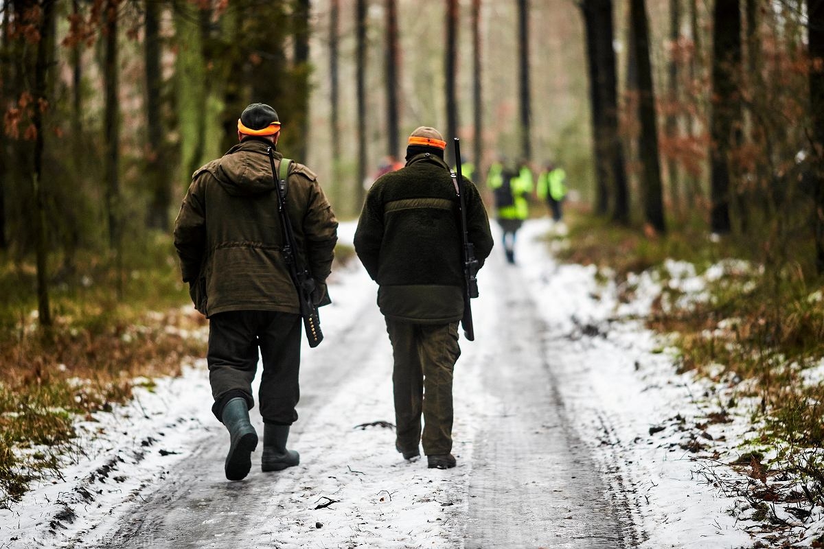 z27970160AMP,Polowanie